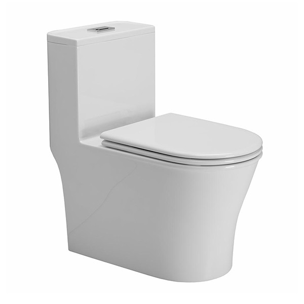 Smart Toilet