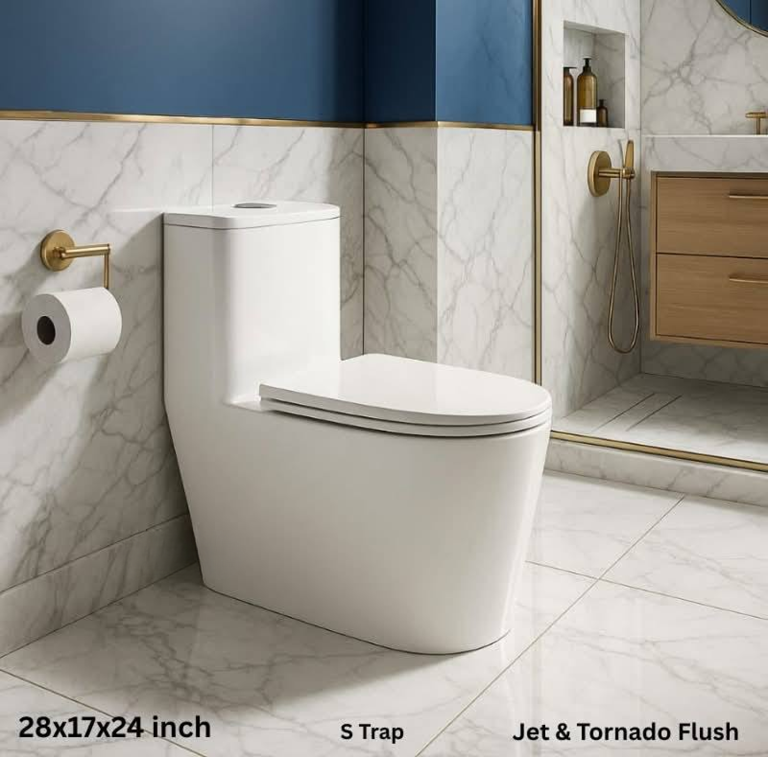 Wall Hung Toilet