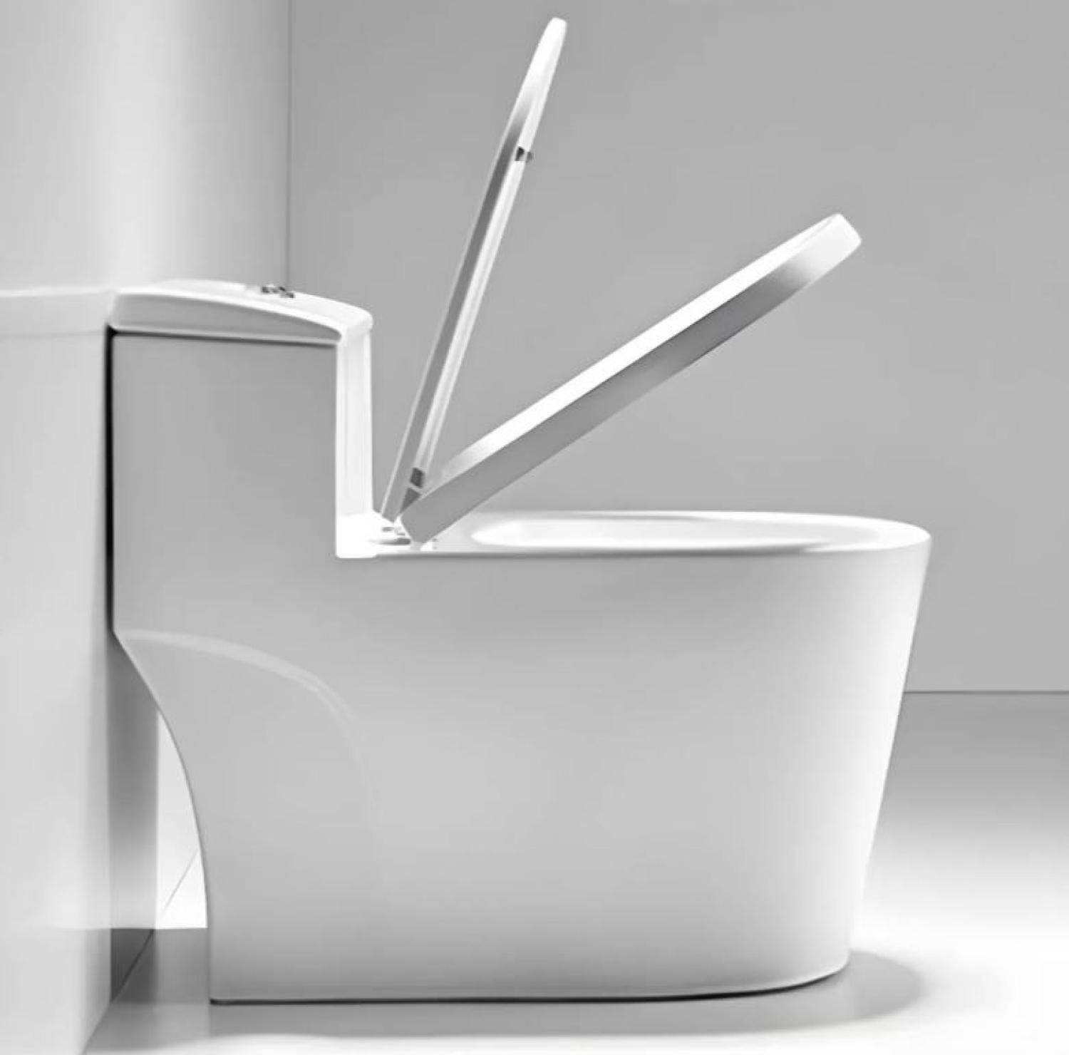 Rimless Toilet